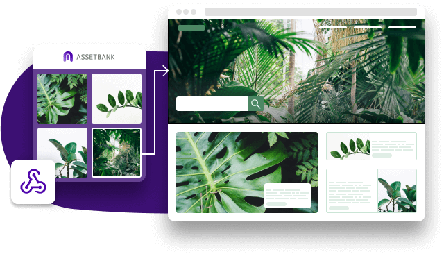api-new-1.webp