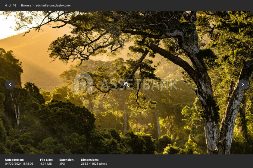 asset-details-three.png