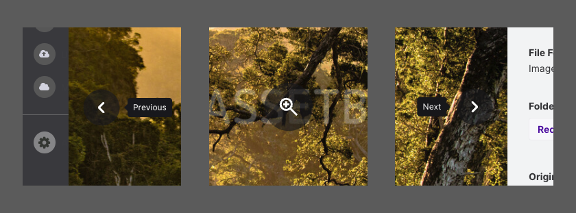 asset-details-five.png