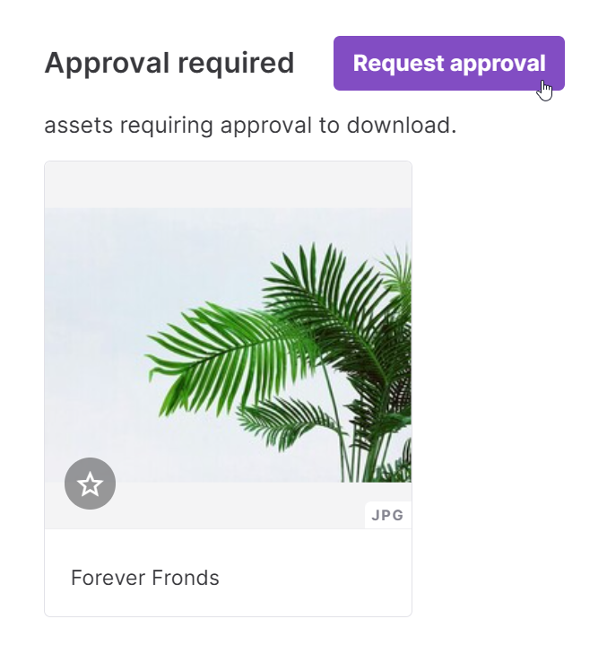 rightss44.png