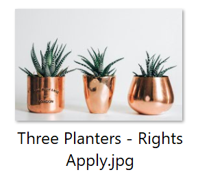 rights66.png