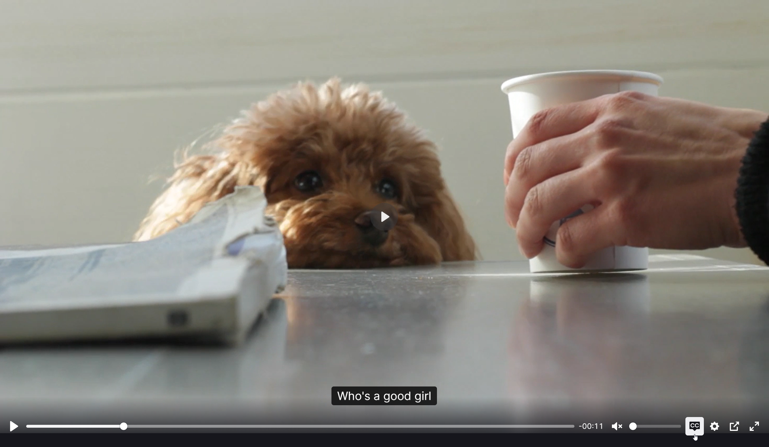 subtitlePlayer.png