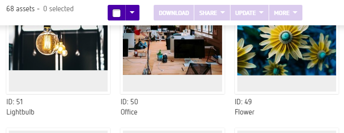 Display_Attributes_-_Asset_Panels.png