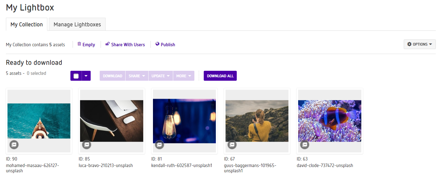 Options_For_Published_Lightboxes_-_My_Lightbox.png