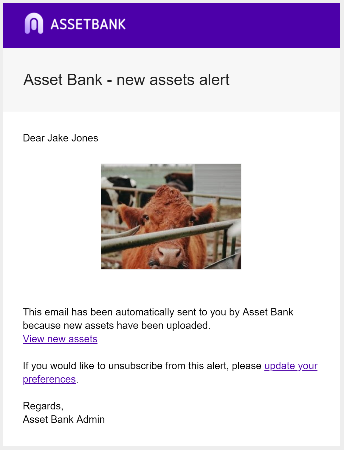 New_content_alert_email_-_email.PNG