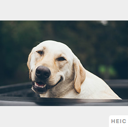 HEIC.png